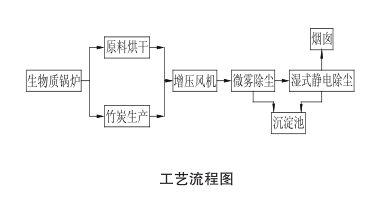 生物质锅炉及其烟气治理工艺流程